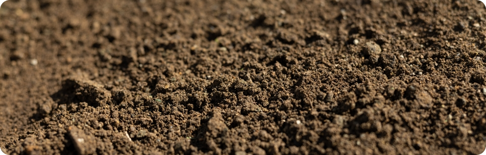土・砂